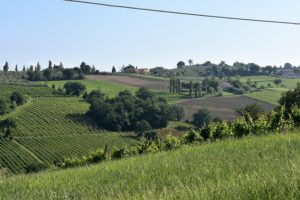 Montefalco - Panorami